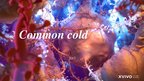 Prezentációk 'Common Cold', 1.                