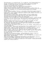 Esszék 'Marketing', 1.