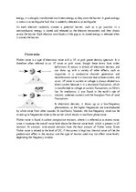 Összefoglalók, jegyzetek 'Noise in Electronic Devices', 5.                