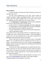 Kutatási anyagok 'Cultural Impact on Behavior of Ccmpanies. Recommendations for Company Expansion ', 3.                