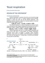 Összefoglalók, jegyzetek 'Practical Work "Yeast Respiration"', 1.                